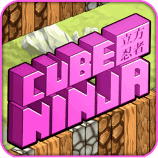 Cube Ninja